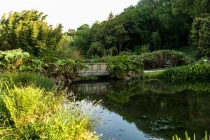 botânico jardim le vallon du picada alar brest França 27 pode 2018 - pequeno lago e ponte verão estação foto