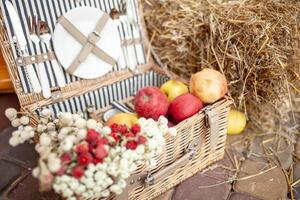 fresco colheita do maçãs natureza tema com vermelho uvas e cesta em Palha fundo. natureza fruta conceito. foto