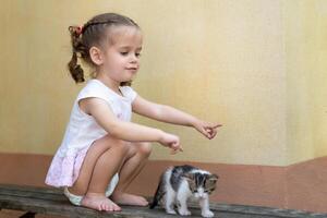 pequeno caucasiano menina jogando em uma verão dia com uma pequeno gatinho foto