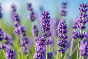 ai gerado lavanda flores lavanda lavanda flores dentro a campo vertical orientação foto