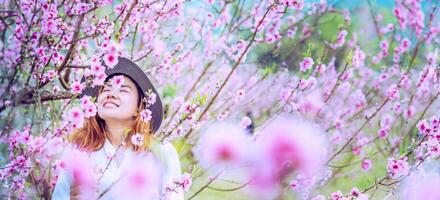 mulher asiática viagem natureza. viajar relaxar. fotografado em um jardim de flores. foto