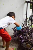 fofa 5 ano velho ásia pequeno Garoto é rega a plantar dentro a panelas localizado às casa sacada, amor do doce pequeno Garoto para a mãe natureza durante rega para dentro plantas, criança plantio foto