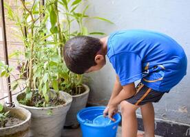 fofa 5 ano velho ásia pequeno Garoto é rega a plantar dentro a panelas localizado às casa sacada, amor do doce pequeno Garoto para a mãe natureza durante rega para dentro plantas, criança plantio foto