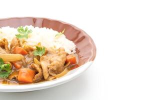 arroz curry japonês com carne de porco fatiada, cenoura e cebola foto