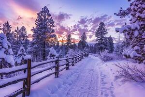 ai gerado inverno país das maravilhas às crepúsculo com fresco neve cobertura uma floresta caminho foto