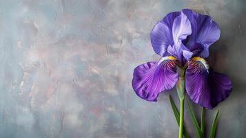 ai gerado dois roxa flores dentro uma vaso em uma mesa foto