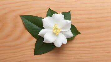 ai gerado jasmim branco flor isolado contra uma limpar \ limpo madeira fundo foto