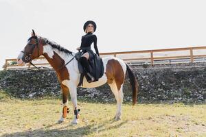 elegante retrato do uma lindo jovem mulher e cavalo foto