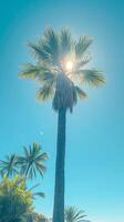 ai gerado Palma árvore dentro quente países cria sombra dentro uma recorrer vertical Móvel papel de parede foto