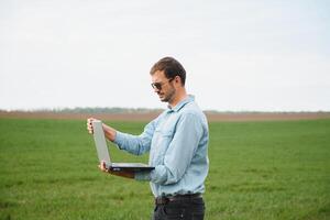 agricultor em pé dentro jovem trigo campo examinando colheita e olhando às computador portátil. foto