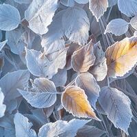 ai gerado extremo inverno beleza geada coberto folhas dentro uma tranquilo Nevado configuração para social meios de comunicação postar Tamanho foto