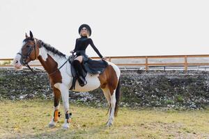 feliz elegante jovem mulher posando com uma cavalo em a de praia foto