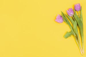 fresco Primavera tulipas flores conceito mulher dia cumprimento cartão mãe dia dia dos namorados amarelo fundo natural luz seletivo foco foto