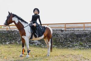 elegante retrato do uma lindo jovem mulher e cavalo foto