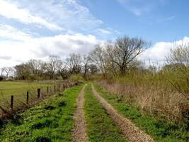 trilha ao lado uma campo com árvores e uma azul céu foto
