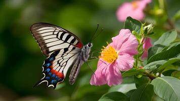 ai gerado digital Alto nitidez imagem do aporia crataegi borboleta em flor foto