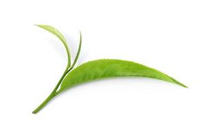folha de chá verde isolada no fundo branco foto