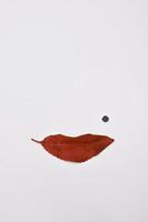 rosto de mulher abstrata e formato de lábios de folha vermelha foto