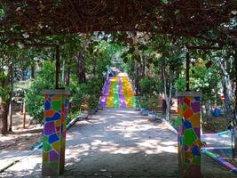 colorida floresta caminho com Escadaria e vegetação foto