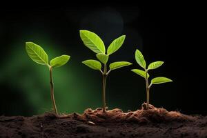 ai gerado vibrante pequeno verde folhas crescimento. gerar ai foto