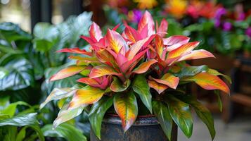 ai gerado em vaso plantar com vermelho e amarelo folhas foto