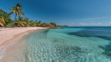 ai gerado Palma árvore em de praia pintura foto