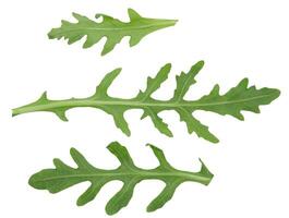 verde folha do Rúcula em uma branco isolado fundo, ingrediente para salada foto