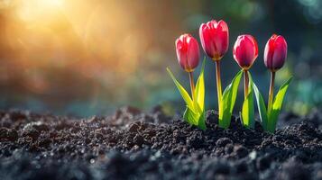 ai gerado jardim com abundante flores e pá foto