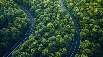 ai gerado enrolamento estrada dentro floresta foto