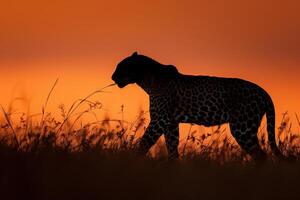 ai gerado leopardo dentro a pôr do sol.generativo ai foto