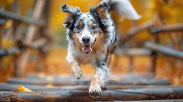 ai gerado cachorro corrida através de madeira ponte dentro outono foto