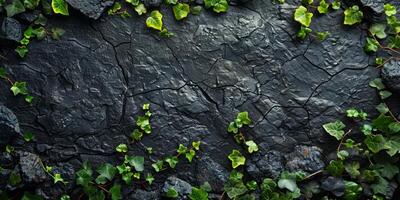 ai gerado verde rastejador plantar em Preto rachado terra fundo. natural textura. foto