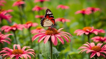 ai gerado colorida fundo conjuntos a cena para verão borboleta no topo flor foto
