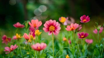 ai gerado colorida selvagem floresta flor imagem com único bokeh fundo foto