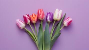 ai gerado luz roxa fundo com ramalhete do colorida tulipas foto