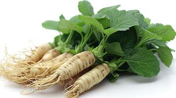 ai gerado ginseng plantar em uma branco fundo foto