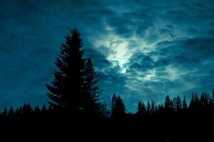 místico noite, recortado floresta árvores abaixo a cheio lua e nublado céu. foto