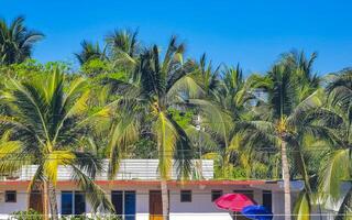 hotéis resorts edifícios no paraíso entre palmeiras puerto escondido. foto