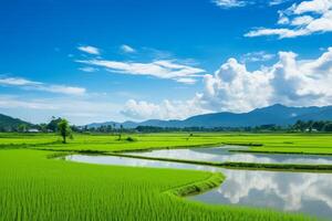 ai gerado uma sereno Visão do exuberante verde arroz Campos alongamento para dentro a horizonte. generativo ai foto