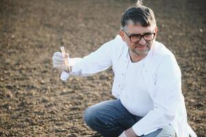 teste solo. agrônomo. de Meio Ambiente proteção, orgânico solo certificação, solo fertilidade análise foto