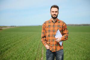 uma jovem agricultor inspeciona a qualidade do trigo brotos dentro a campo. a conceito do agricultura. foto