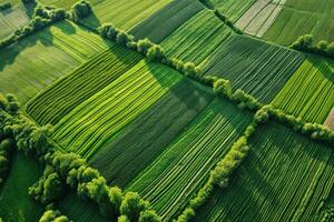 ai gerado aéreo Visão Fazenda terra. gerar ai foto