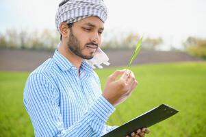 retrato do jovem indiano agricultor vestindo formal vestir dentro verde arroz campo. foto