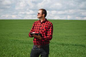 agricultor dentro vermelho verificado camisa usando tábua em trigo campo. aplicando moderno tecnologia e formulários dentro agricultura. conceito do inteligente agricultura e agronegócio. foto