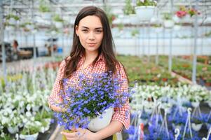 mulher florista trabalhando às dela flor fazer compras em pé cercado de plantas foto