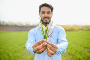 preocupação Menos ,indiano agricultor em pé dentro dele saudável trigo campo foto