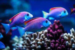 ai gerado colorida chromis peixe escolaridade dentro uníssono. generativo ai foto