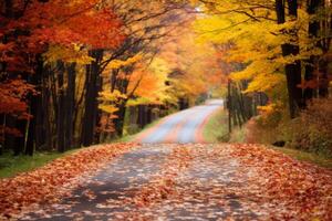 ai gerado colorida folhas em uma país estrada dentro outono. generativo ai foto