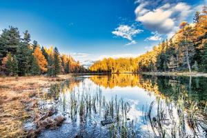 pequeno lago na floresta no outono foto