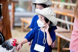 as crianças estão aprendendo a segurar uma galinha. fazendo com que o frango cheire o cheiro dos dedos para familiarizá-lo com o portador. garoto usando máscara facial para proteger pm2.5 e vírus. foto